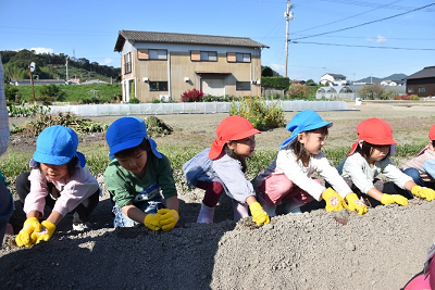 一列になってしゃがみ土をいじる園児たちの写真