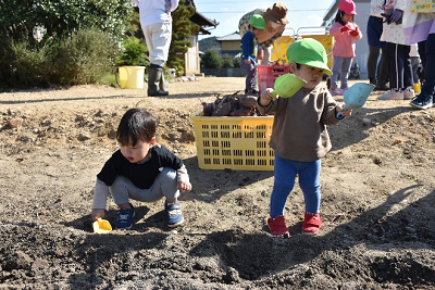 サツマイモがたくさん入ったかごの前でスコップを持ち作業する園児2人の写真