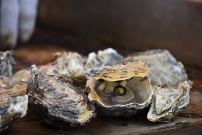 火が通り、殻の口が空いた牡蠣の写真