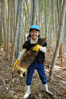 大きなタケノコを抱えて笑顔を見せる園児の写真