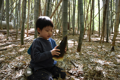 タケノコを両手で持って座り込む男の子の写真
