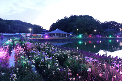 木々や東屋を背景に咲く花がライトアップされた写真