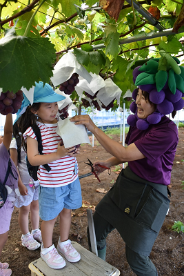 ぶどうの被り物をした女性が収穫したぶどうを子供に渡している写真