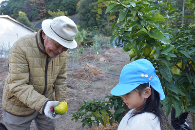 園児にみかんを見せる男性の写真