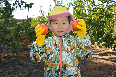 みかんを両手に持っている園児の写真