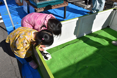 囲いの外からうさぎを触る2人の子供の写真