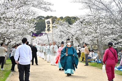 桜並木の真ん中で一列になって歩く和装の男性達の写真