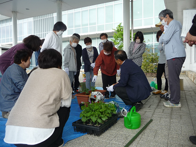 見学者の1人が植えられた苗を指さしている写真
