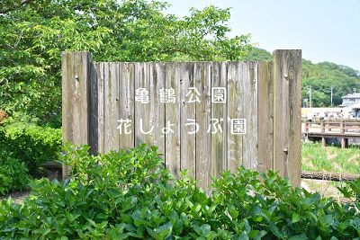 草木に囲まれた場所に設置された「亀鶴公園 花しょうぶ園」と書かれた木製看板の写真