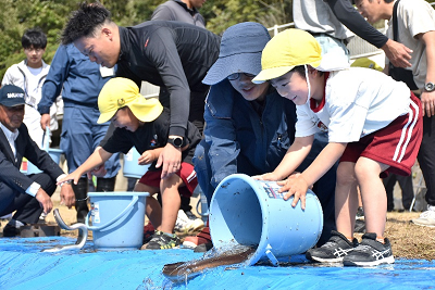 うなぎをバケツから放流する園児の写真