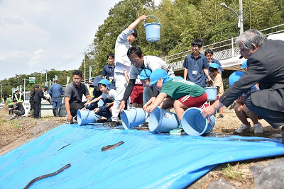 うなぎを一斉に放流する園児達の写真