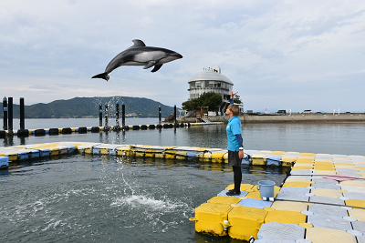 さぬき市で見つける、わたしらしい未来(2026年1月29日)の画像