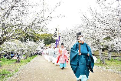 平安装束きらびやか、宇佐神社で鎮花祭が行われました(2026年4月8日)の画像