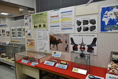 恐竜ハドロサウルスの解説コーナー