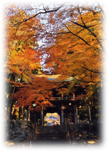 紅葉したモミジに包まれた参道の石段の上に山門が立つ、秋の寺の写真
