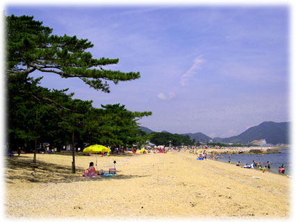 松林が続く砂浜で、多くの海水浴客がパラソルの下でくつろいだり海で泳いだりしている海岸の写真