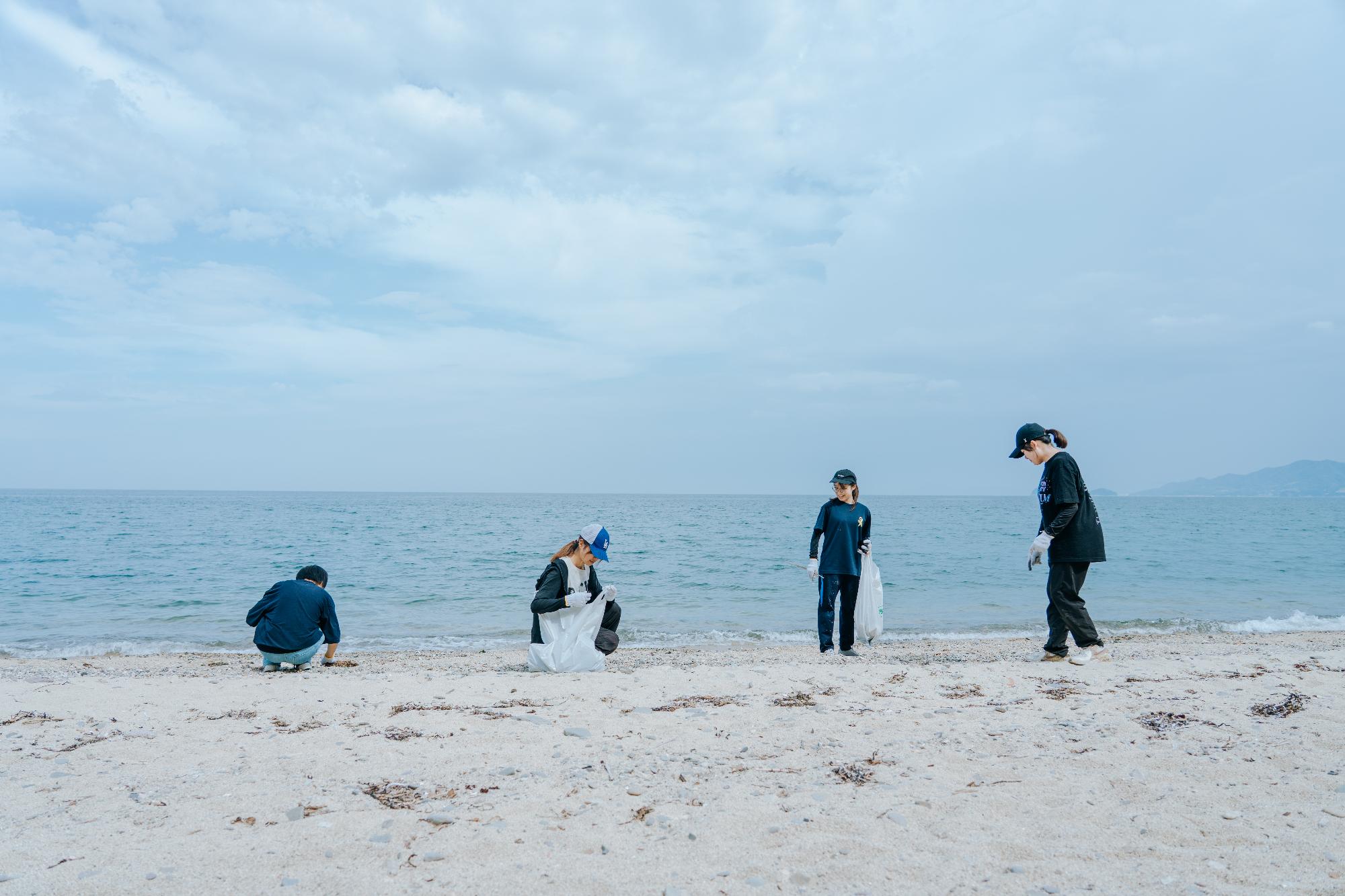 海岸清掃の様子